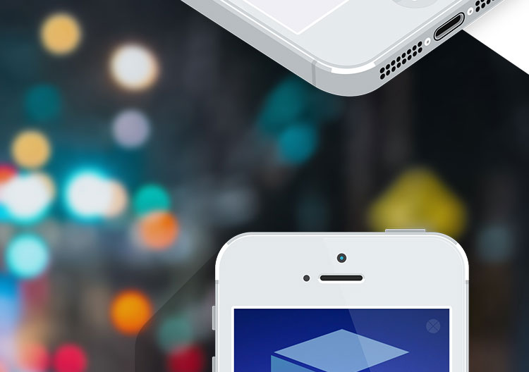 南沙之窗政府门户app应用软件