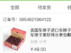 成都APP外包中如何完成项目结果